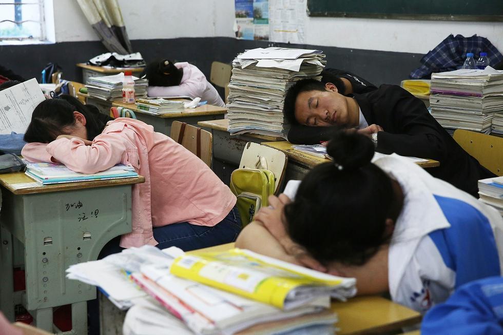 高考冲刺百态：安徽千名中学生趴课桌午休