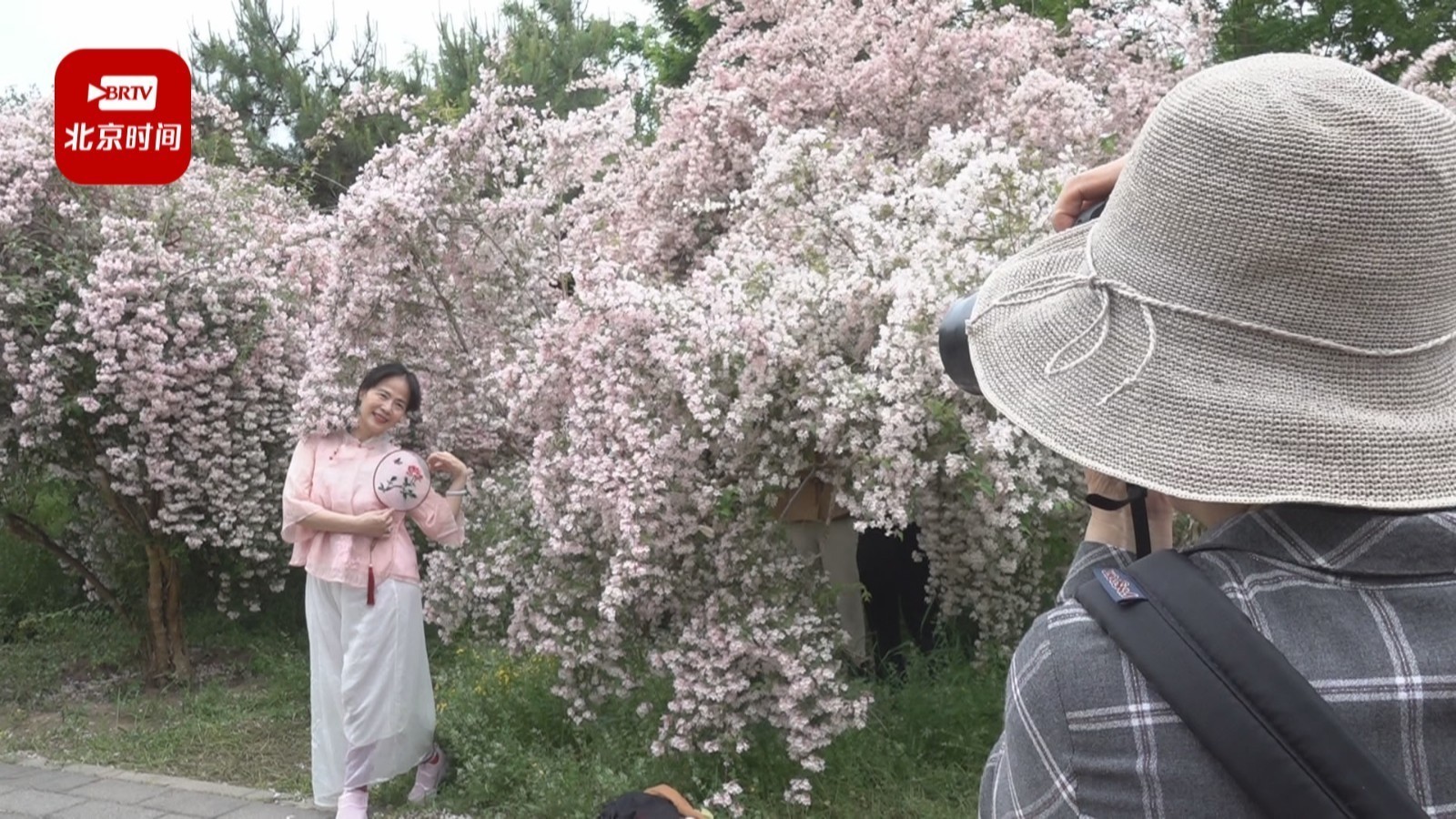这个公园人少花美!快来打卡猬实花瀑 这个公园人少花美!快来打卡猬实花瀑