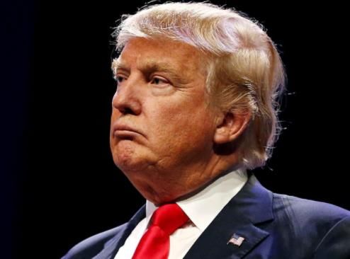 各国领导人会几种语言?普京最多能说4种,中