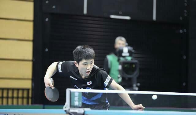 后悔加入日本国籍?张本智和全家被排挤,或无法