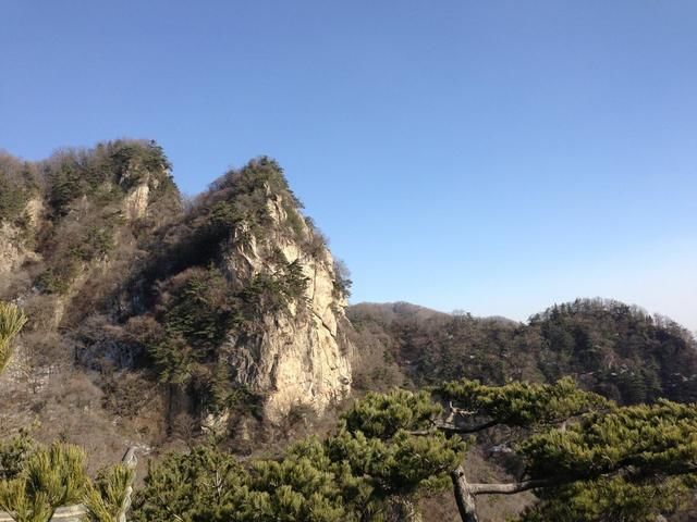 森林公園地處秦嶺北麓,共分6大景區,150多個景點,有奇峰40座,秀嶺8座