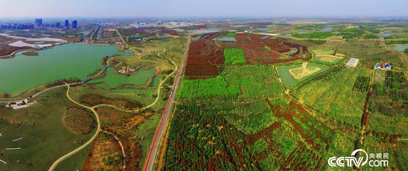 【美丽中国长江行】看江淮分水岭上的生态林海:绿了江岸富了百姓 【美丽中国长江行】看江淮分水岭上的生态林海:绿了江岸富了百姓