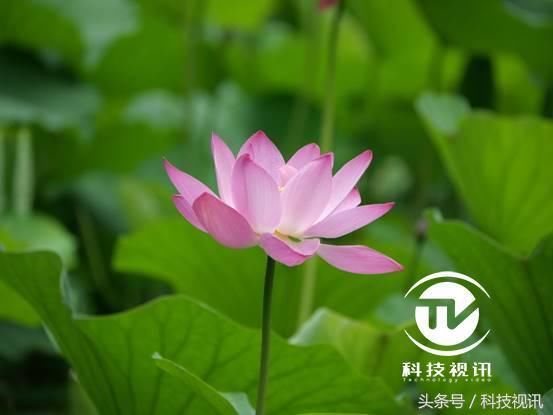 复古便携,创意视觉-松下DC-GX9+DG50-200m