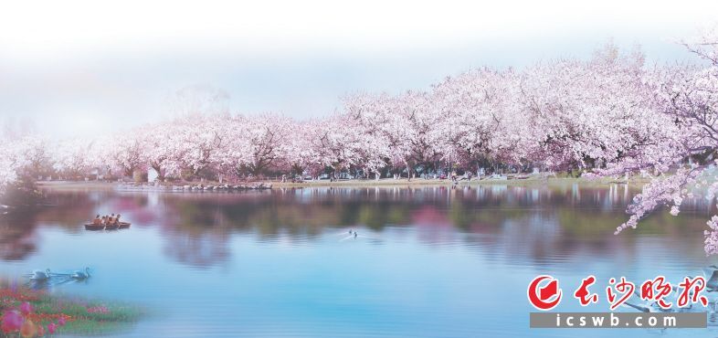 春满长沙 乐游雨花:长沙雨花区春日游玩攻略