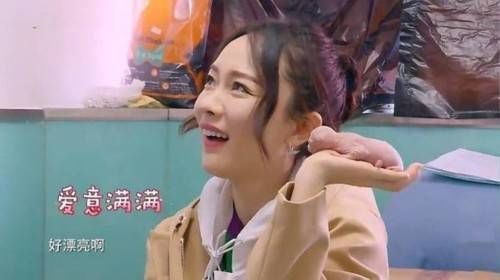 霍思燕家的小玉生了 网友却关心这窝小猫值多少钱