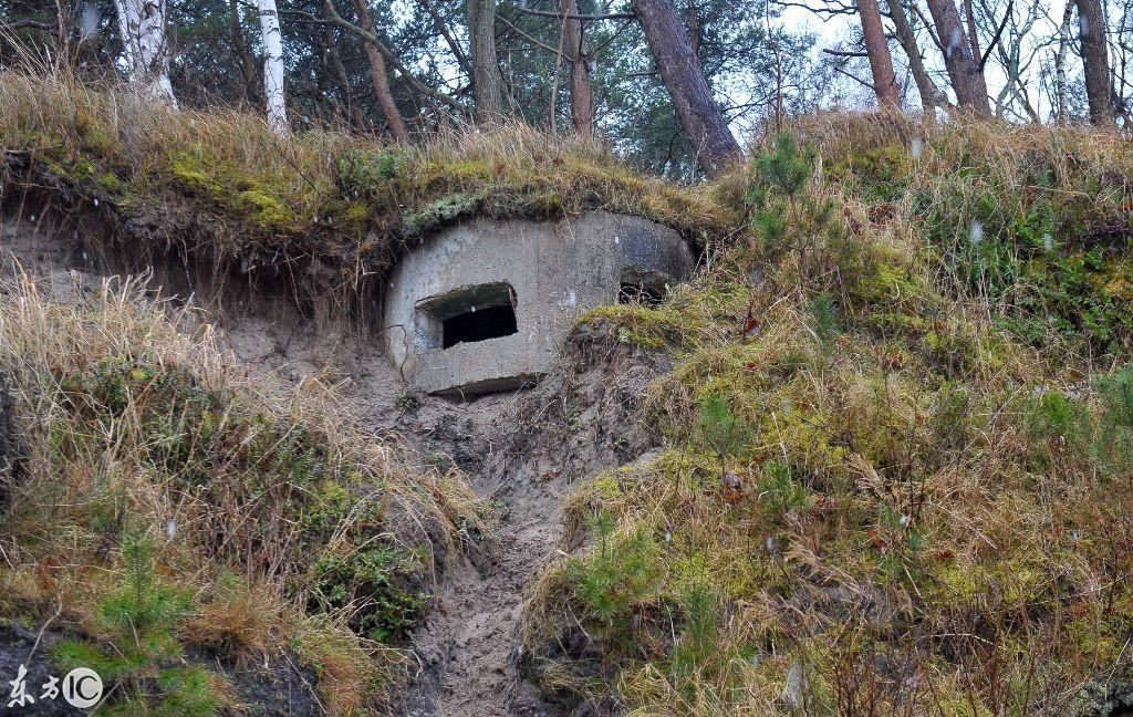 暴风雨过后,混凝土掩体的内部出现一个隧道入口,引起猜疑