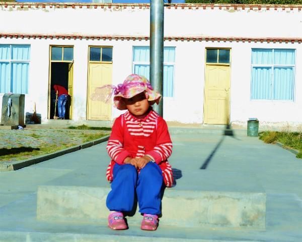 雪域高原上的'并蒂雪莲'和那群'花朵',您们都还好