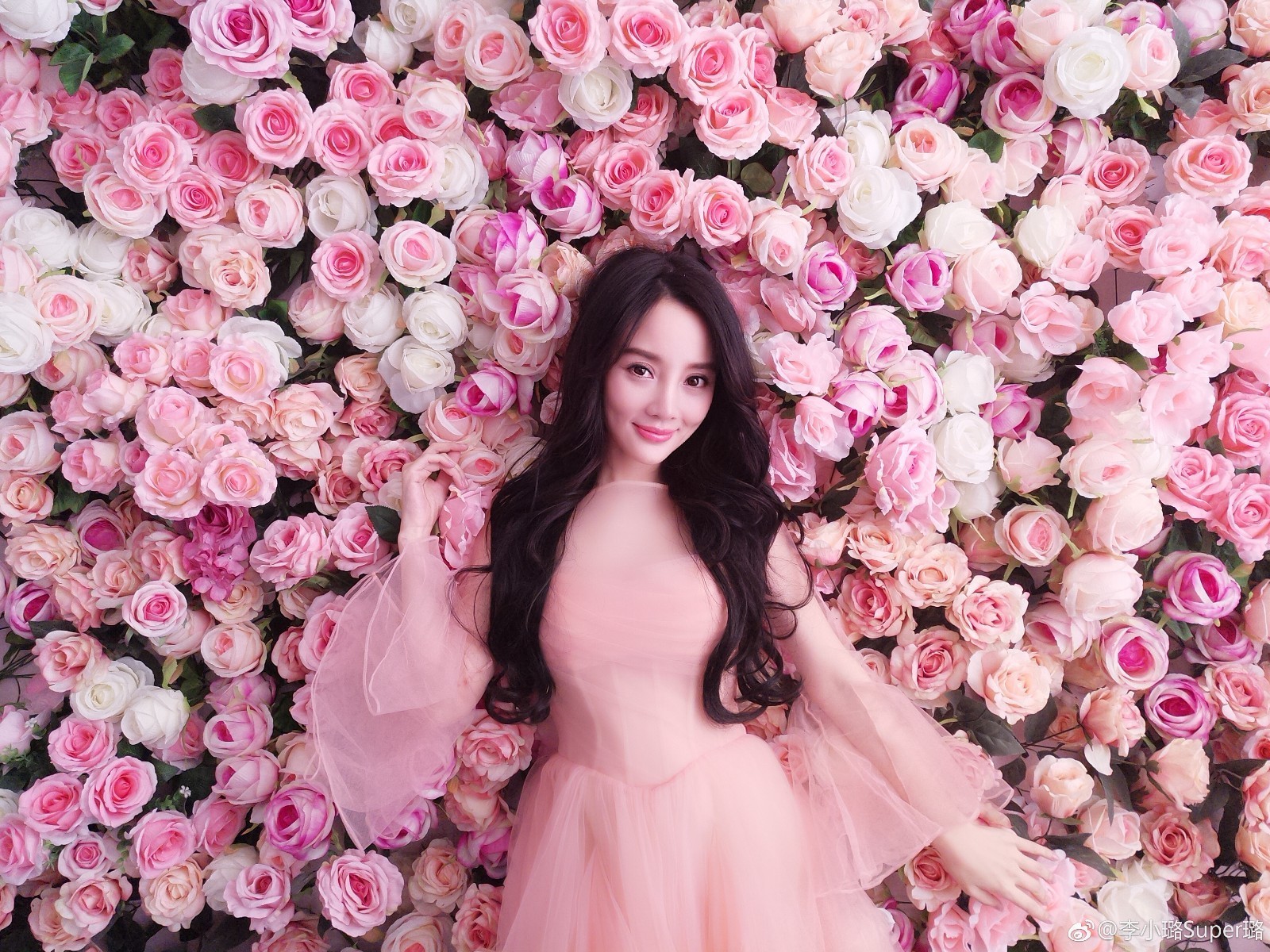 李小璐沉浸花海中 造型神似经典的“美国丽人”