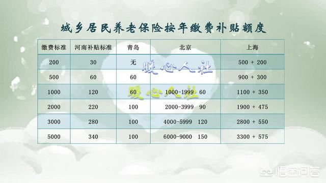 湖南城乡居民养老保险每年交3000元,如何计算
