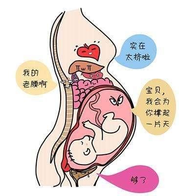 不管是顺产还是剖腹产,月子是女人又一次重生