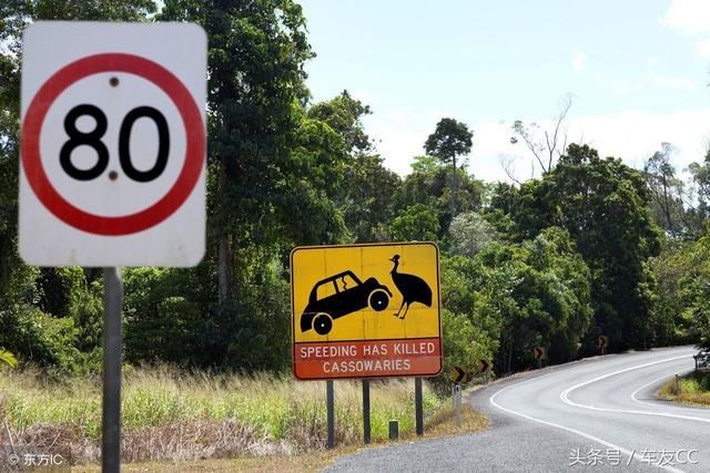 2018新交通法规扣分罚款新规定 车主有备无患