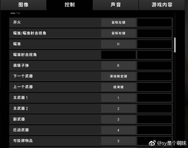 绝地求生:前IG职业选手SY的画面设置