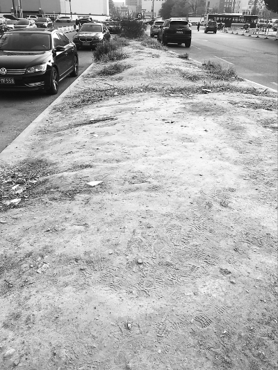 广和里中街南段 30米长绿化带黄土裸露 广和里中街南段 30米长绿化带黄土裸露