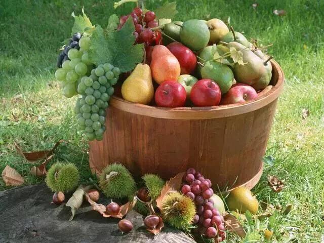 备孕期间吃什么水果可以促进排卵呢?爱宝来告