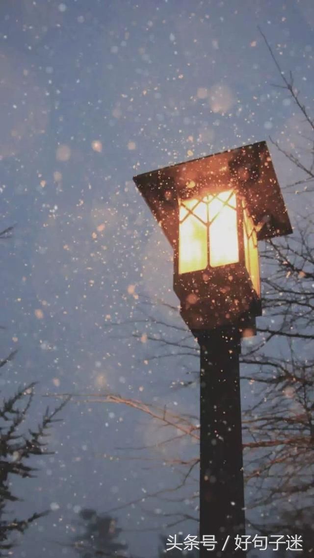 朋友圈点赞最多的心情短语,句句精辟有哲理!