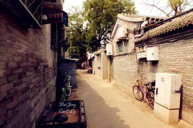 张五毛就文章中地域攻击道歉 张五毛就文章中地域攻击道歉