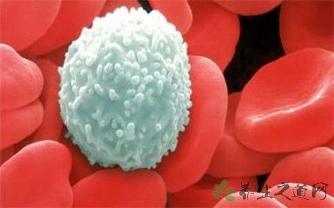 m3白血病会引起耳鸣吗