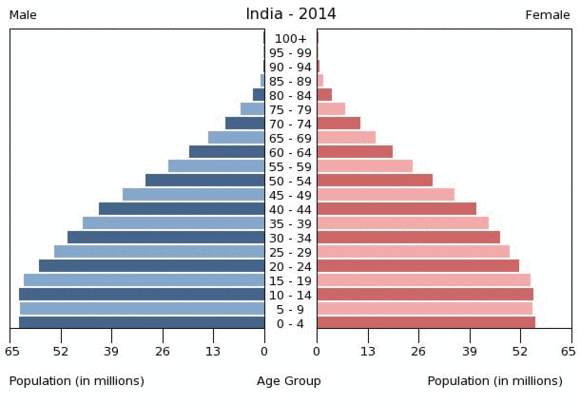 印度人口年龄结构图