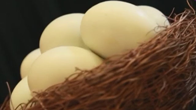 《快乐生活一点通》20200403正宗海鸭蛋