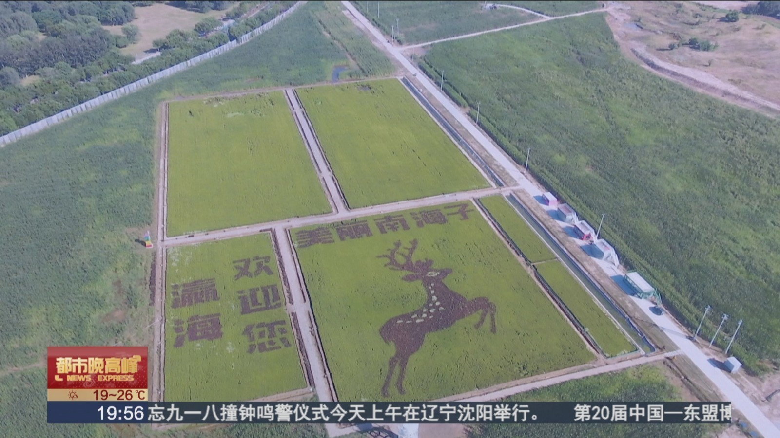 稻花香里说丰年 大兴区2023年丰收节农文旅活动举办