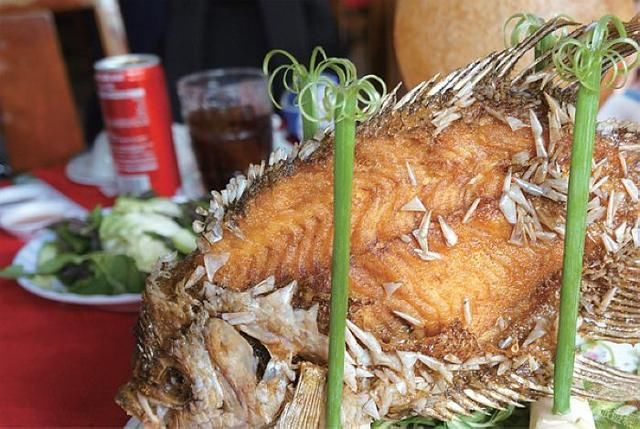 世界遗产感受中越人文风情,南越市区观光和水