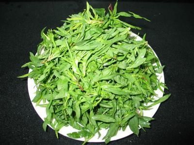 农村老中医一秘方,治湿疹不用半个月、不反复