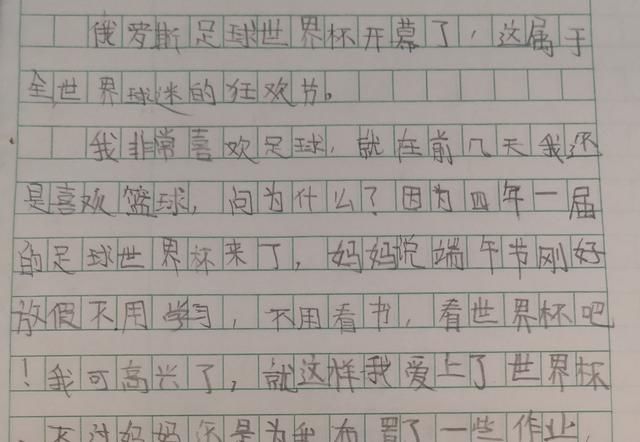 一篇小学生观看世界杯后写的作文,网友:我看了