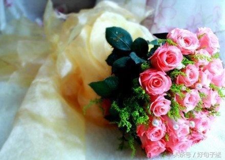 致自己一段真实的话,身心累了就看看!