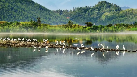 十年,中国生态环境建设成效显著 十年,中国生态环境建设成效显著