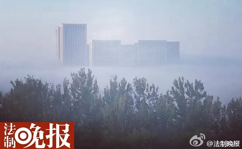 图为网友分享浓雾照片。
