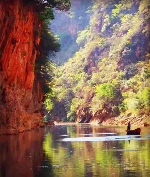 市长与曲靖一起刷爆朋友圈!流利英文对答记者