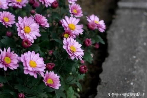 摄影新手推荐镜头之一:50定焦头 小痰盂 拍人像