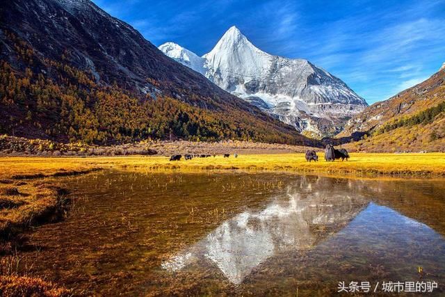 哇塞,好美!中国最美的景观都在四川!