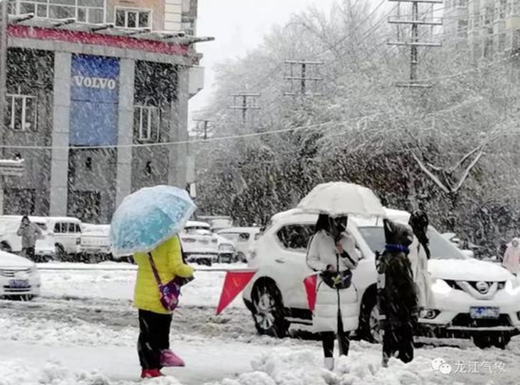 市区各中小学校、幼儿园当日下午停课。