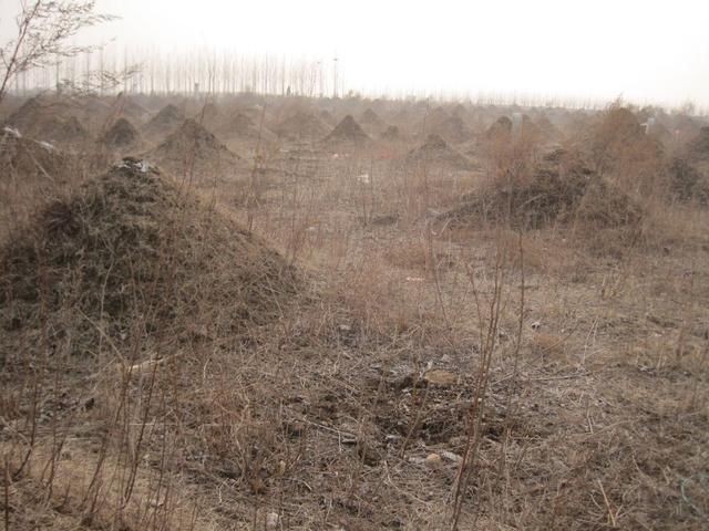 农村老俗语:远怕水、近怕鬼是什么意思?