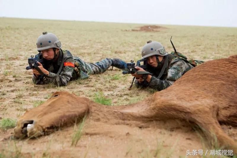 土豪旅首战朱日和,与第一蓝军旅进行对决,能