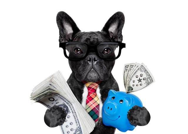 货币基金哪个好,怎么选货币基金?