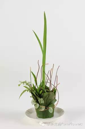 在杯字中央稍偏后位置插入剑形叶. step