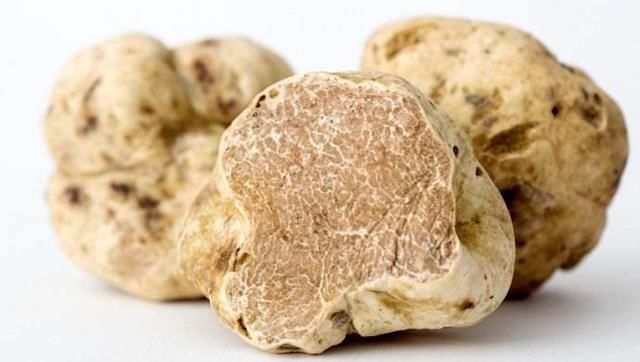 2018年BBC选出的八种世界上最贵的食材,看您