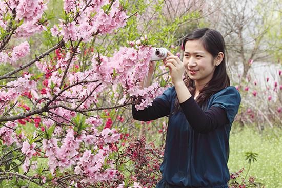 屈家岭桃花 资料图 中国农谷万亩黄桃休闲农业园