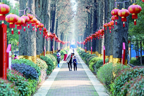 五位社区干部如何服务万余居民?