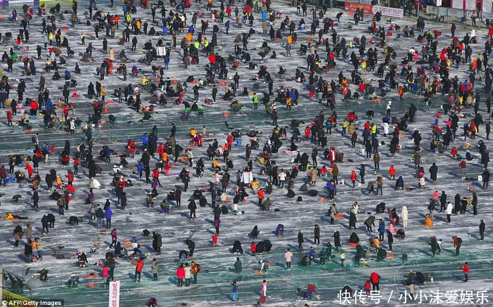 韩国冰雪节捕鱼场面壮观,收获者将活鱼含在嘴