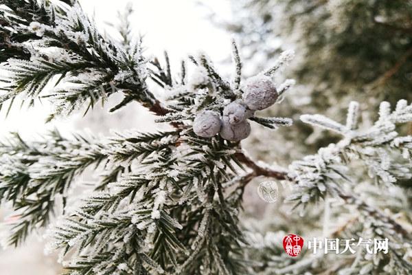 今天辽宁大部现霾天气 “元旦”假期先降雪再降温