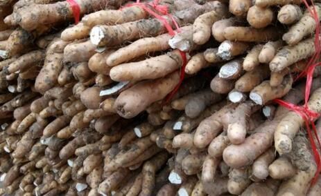 铁棍山药价格多少钱一斤?它的皮能吃吗?和普
