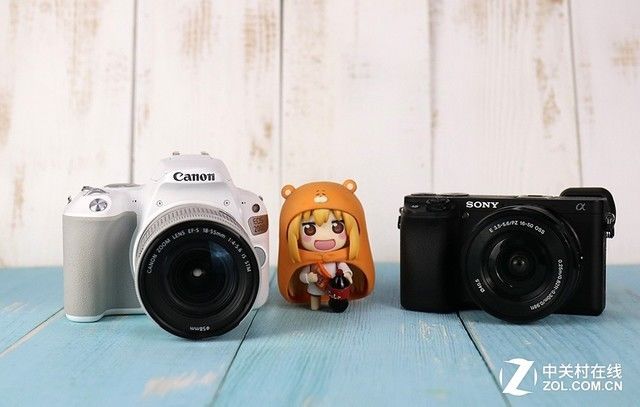 夏天来了 女生适合用什么样的相机拍照