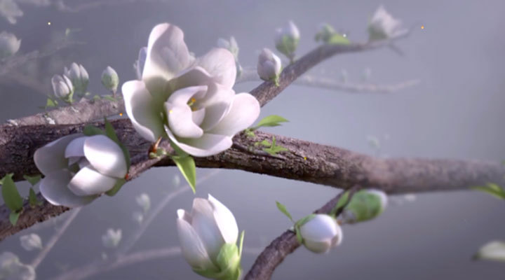 节气宣传ID- 今日清明 节气宣传ID- 今日清明