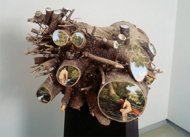 废弃木桩里看到的纷繁世界