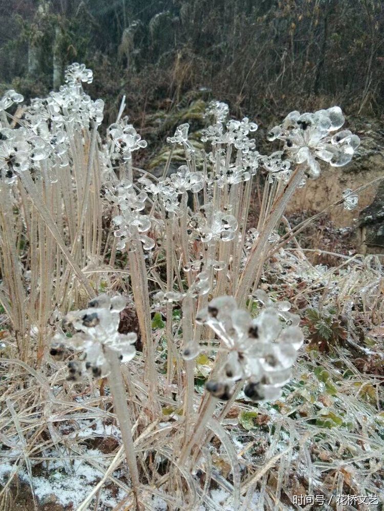 方言话秭归,据说只有秭归人才听得懂,不信你听