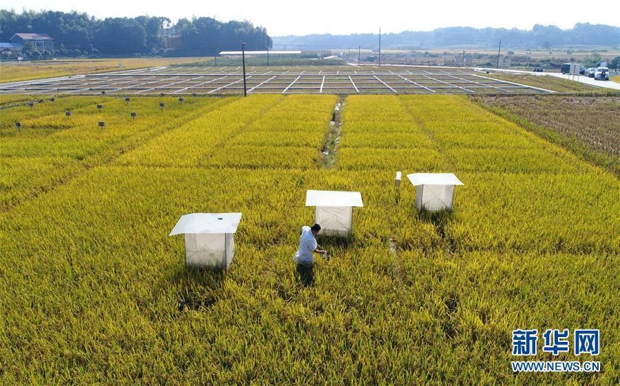 向好开新篇--党的十八大以来我国三农发展成