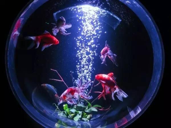 怪谈︱信不信由你!日本各地景点流传的
